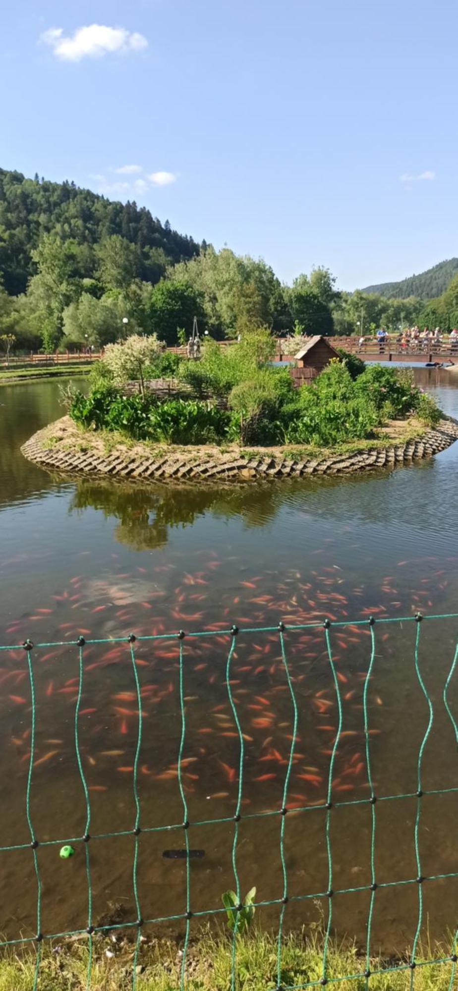 Kwatera u Somsiada Muszyna Zewnętrze zdjęcie